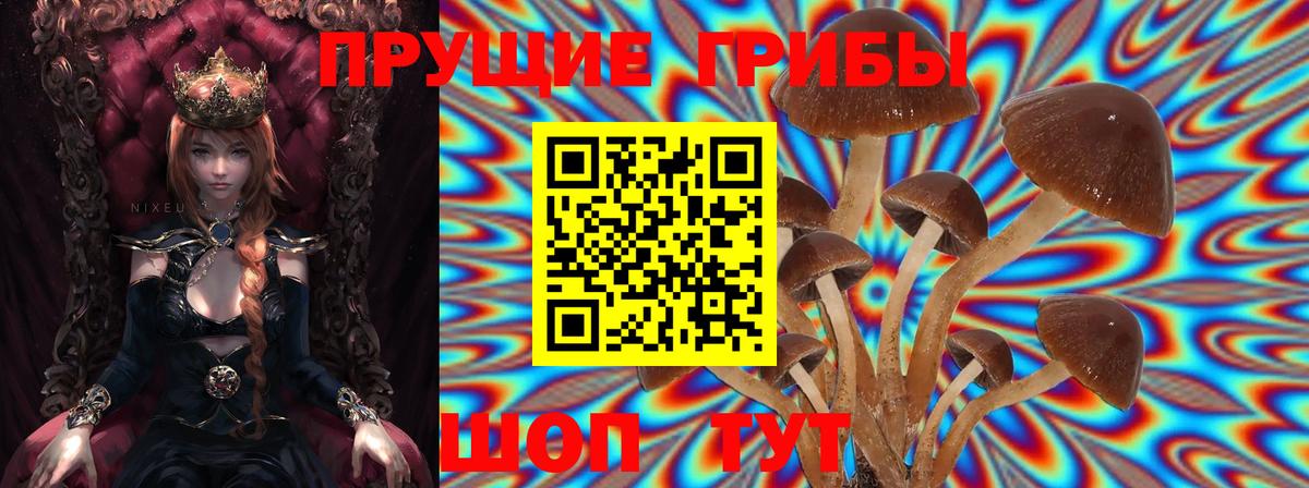 Галлюциногенные грибы мицелий Лобня
