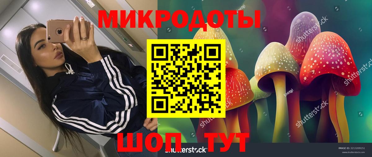 сколько стоит  Вход с VPN  Лобня  Псилоцибиновые грибы Cubensis 